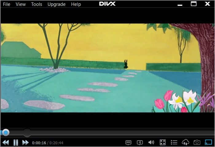 Lettore divx