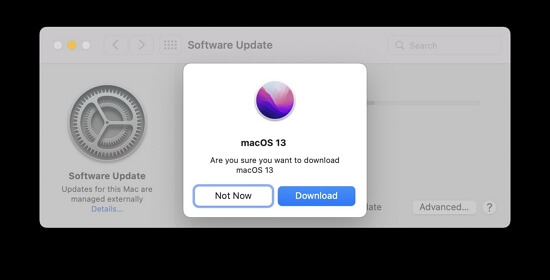 fai clic su download per confermare