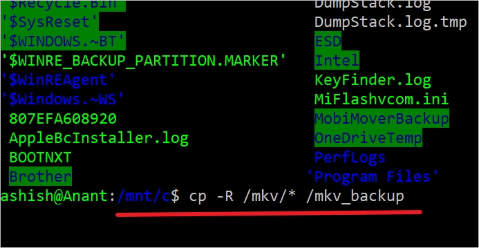 Kopieren Sie den Verzeichnisinhalt unter Linux