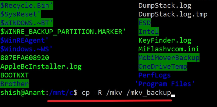 Kopieren Sie Verzeichnisse unter Linux