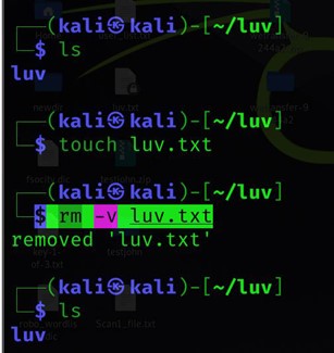 Eine Datei unter Linux mit den Befehlen rm-v löschen