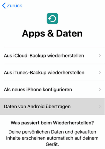 iPhone Apps und Daten Bildschirm