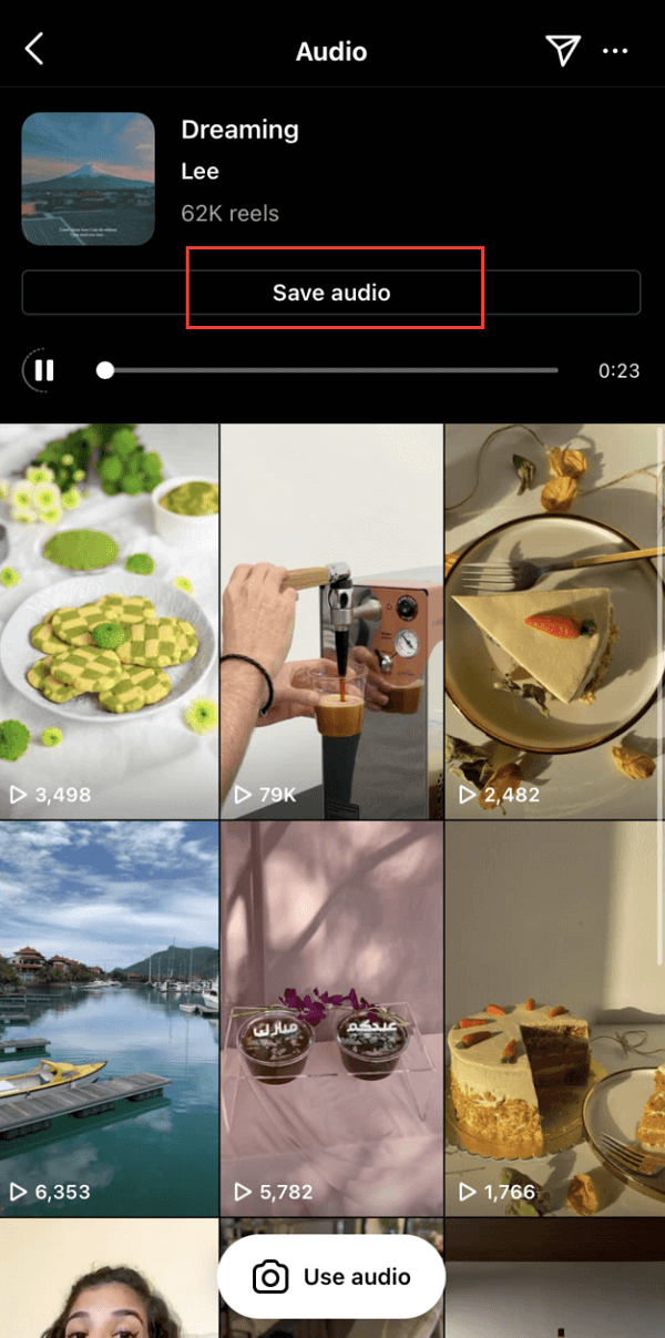 Speichern Sie Audio auf Instagram Reels