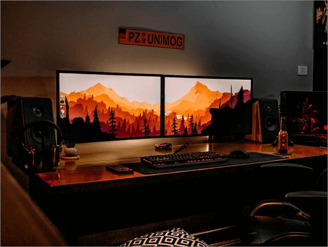 Doppelmonitore