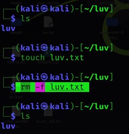 Eine Datei in Linux mit den Befehlen rm-f löschen
