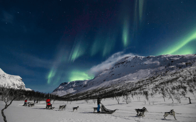 Dog Sledding and Northern Ligths