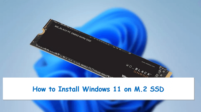 come installare windows 11 su m.2 ssd