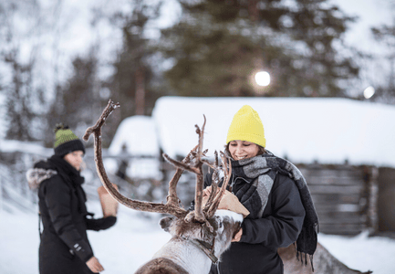 Swedish Lapland Blog Photos (6)