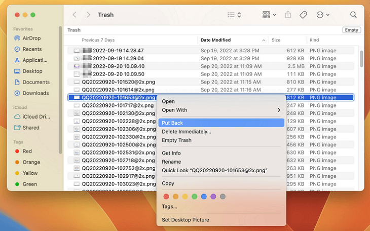 Recupera i file eliminati su macOS Ventura dal Cestino