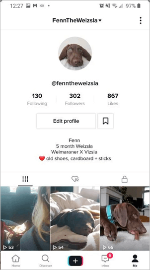 risolto il crash di tiktok - 1