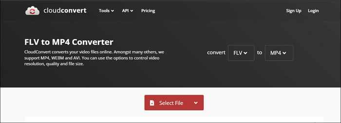 Converti FLV in MP4