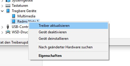 Den Treiber manuell akualisieren -1