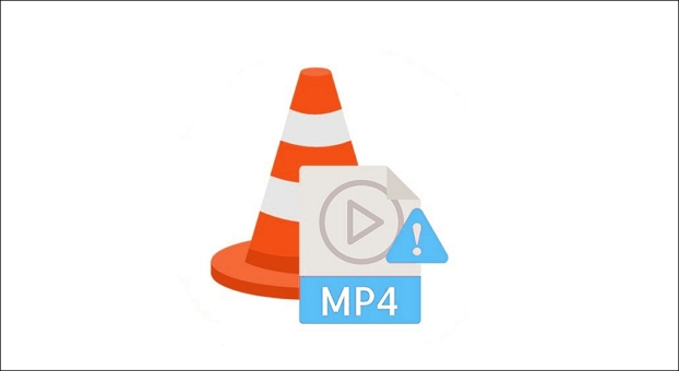 MP4 non può essere riprodotto su Mac