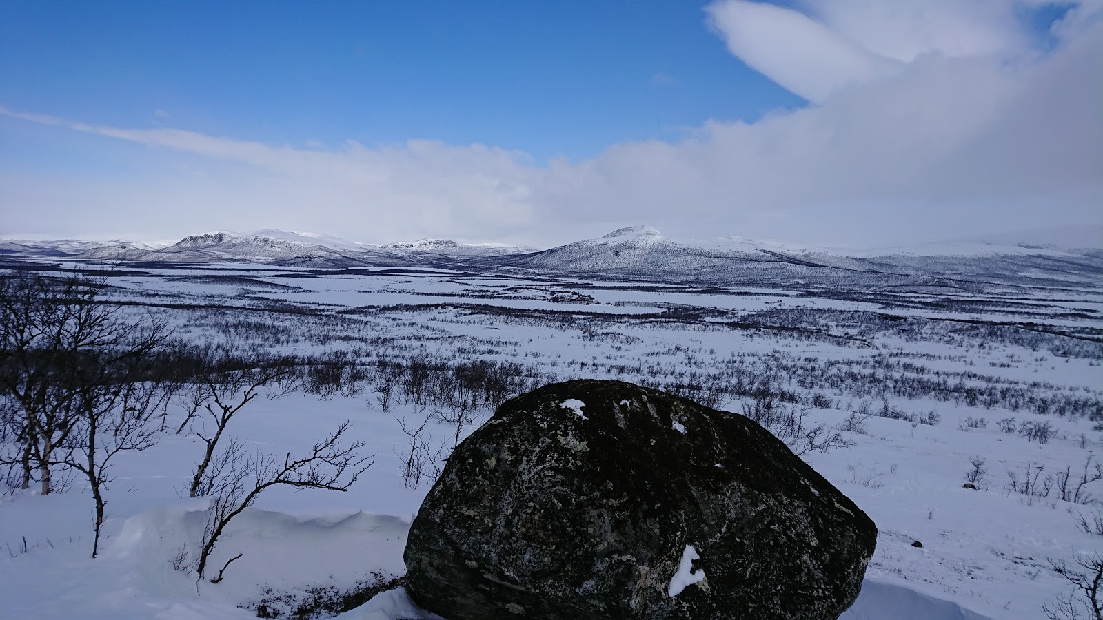 DSC_0007.JPG