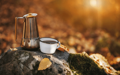 Arctic autumn