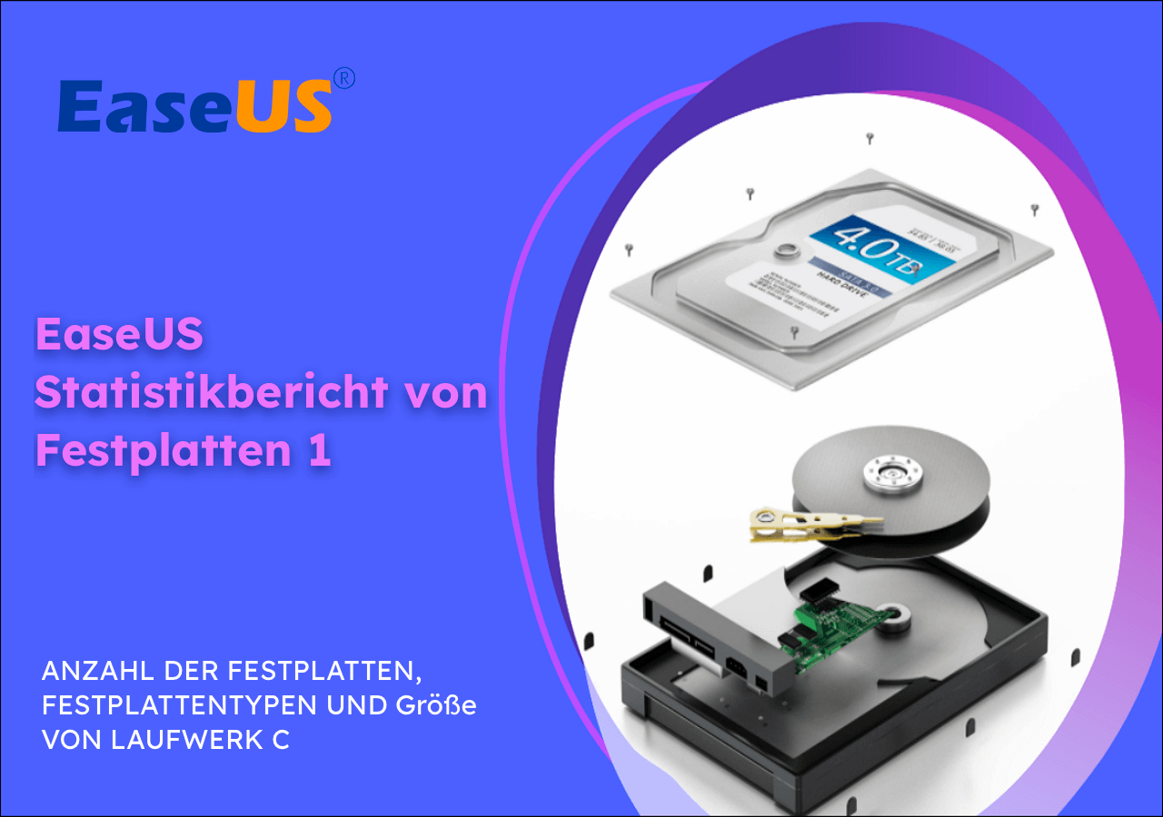 Bilder des EaseUS Festplatten-Statistikberichts