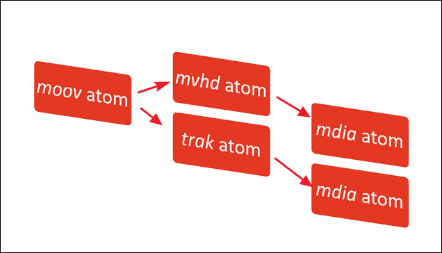 cos'è l'errore Moov Atom Not Found