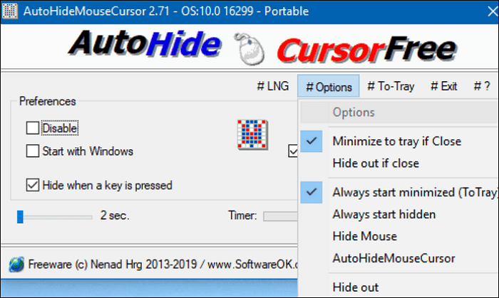 nascondere le finestre del cursore del mouse