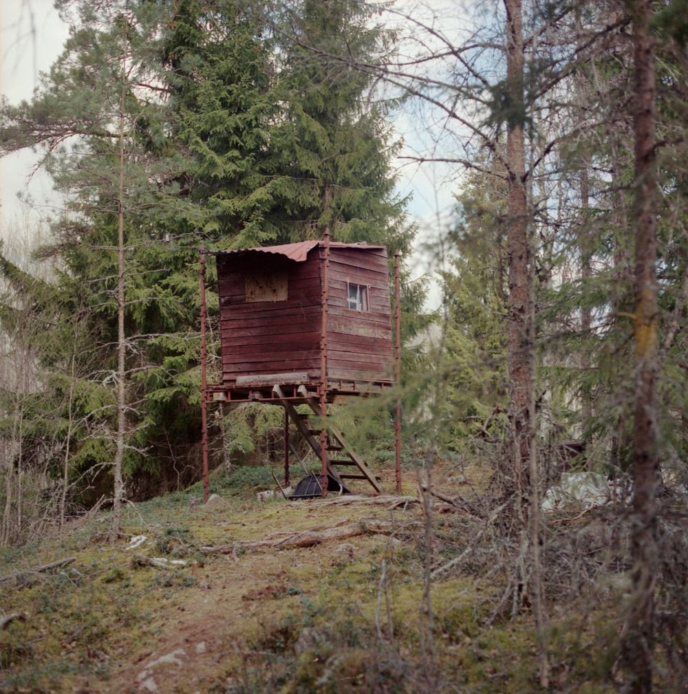 Ur projektet Spår, spåra © Sara Linderoth