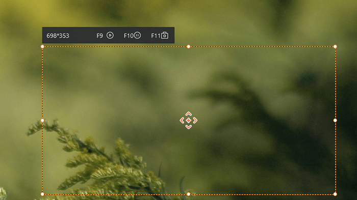 seleziona l'area per scattare screenshot