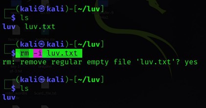 Eine Datei unter Linux mit den Befehlen rm-i löschen