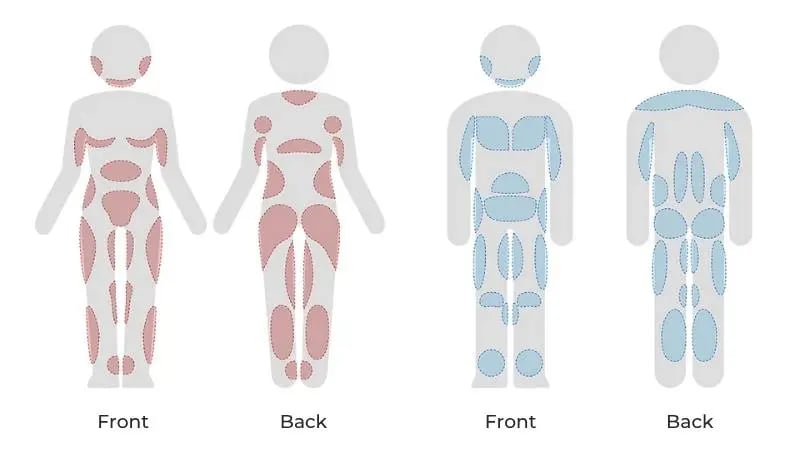 Subcutaneous fat