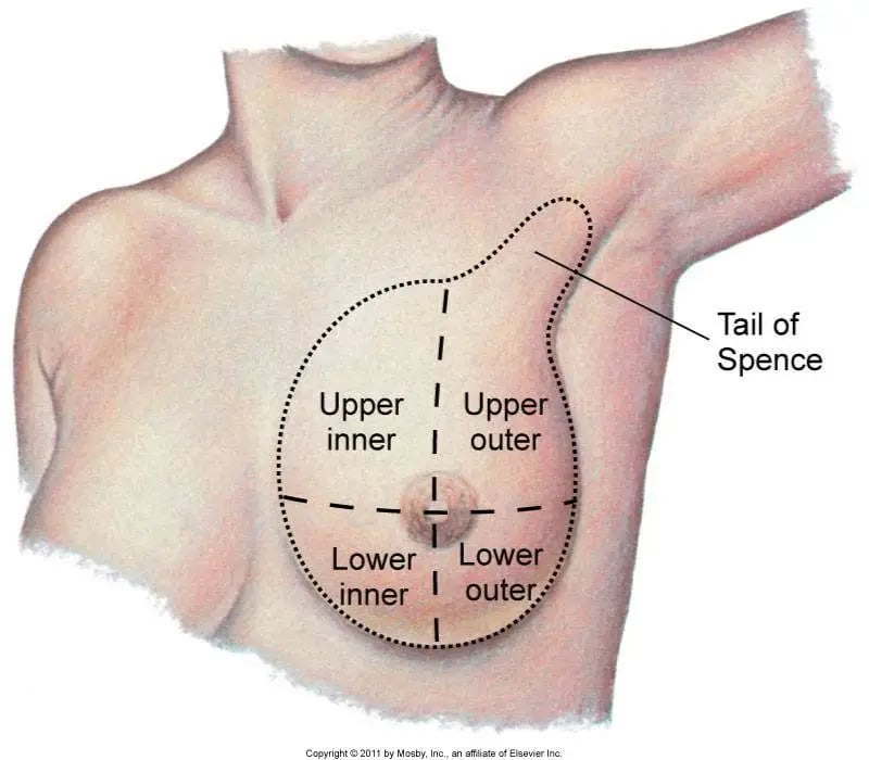Tail of spence