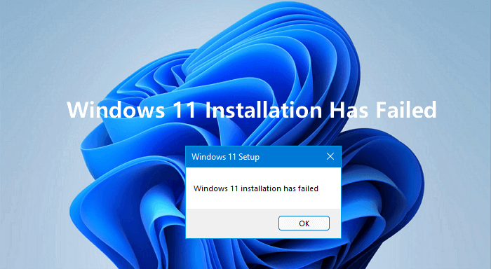 Windows 11 Installation fehlgeschlagen