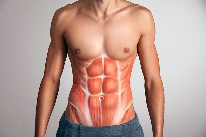 The way your body is