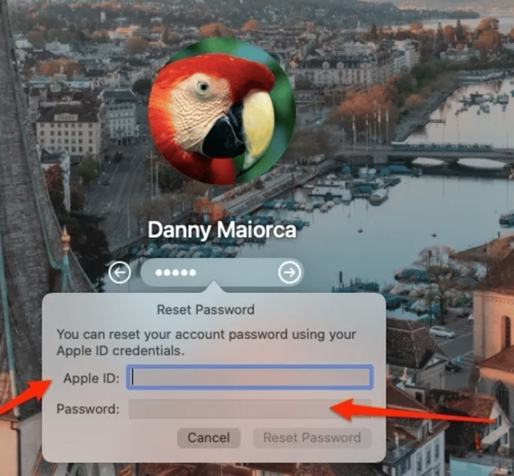 Apple-ID-Anmeldedaten eingeben
