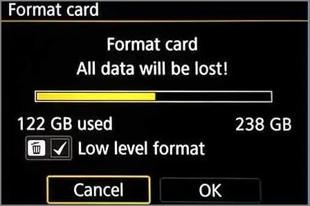 Wählen Sie das Low-Level-Format