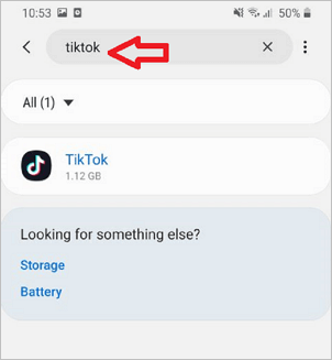 risolto il problema con tiktok che non si apriva -2