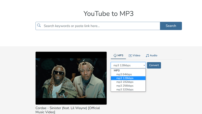 320YTMP3 Video Downloader